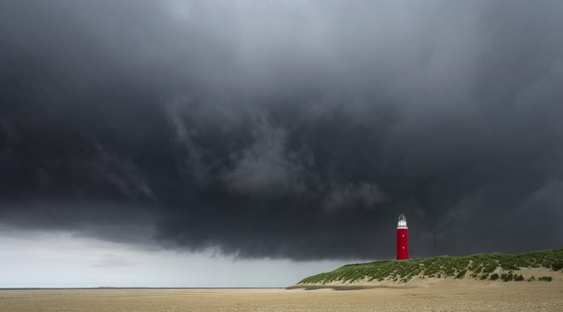 Netherlands Landscape
